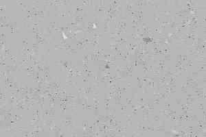 Линолеум Forbo SureStep Decibel 717286/7172862 silver grey фото  | FLOORDEALER